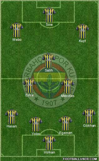 Fenerbahçe SK Formation 2013