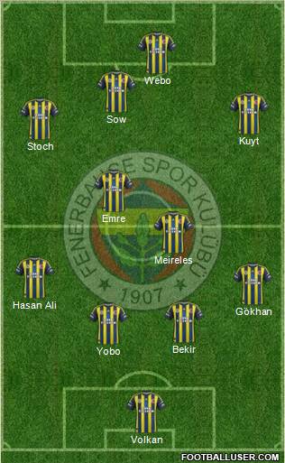 Fenerbahçe SK Formation 2013