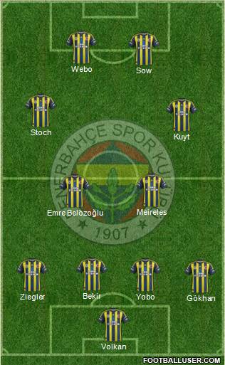 Fenerbahçe SK Formation 2013