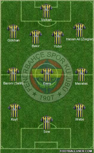 Fenerbahçe SK Formation 2013