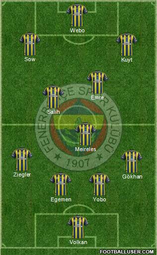Fenerbahçe SK Formation 2013