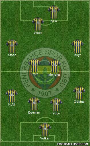 Fenerbahçe SK Formation 2013