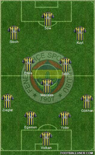 Fenerbahçe SK Formation 2013