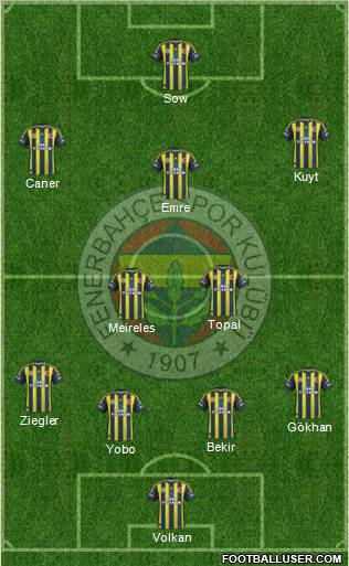 Fenerbahçe SK Formation 2013