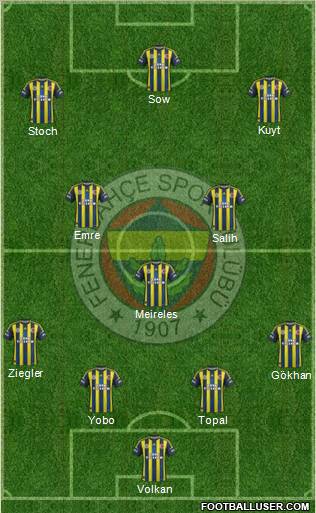 Fenerbahçe SK Formation 2013