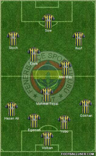 Fenerbahçe SK Formation 2013