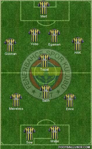 Fenerbahçe SK Formation 2013