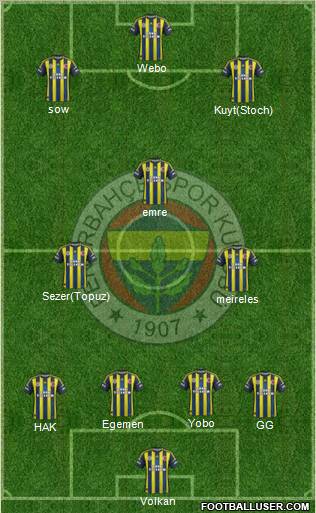 Fenerbahçe SK Formation 2013