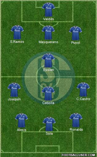 FC Schalke 04 Formation 2013