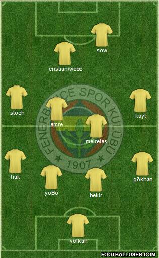 Fenerbahçe SK Formation 2013
