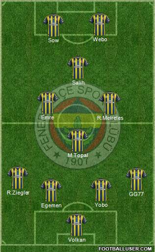 Fenerbahçe SK Formation 2013