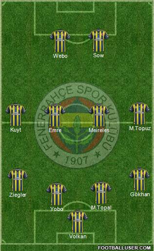 Fenerbahçe SK Formation 2013