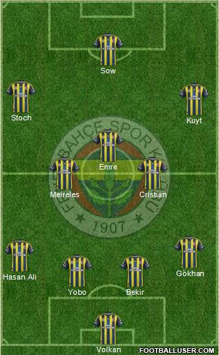 Fenerbahçe SK Formation 2013