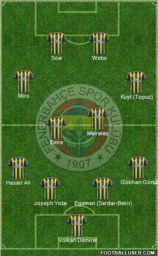 Fenerbahçe SK Formation 2013