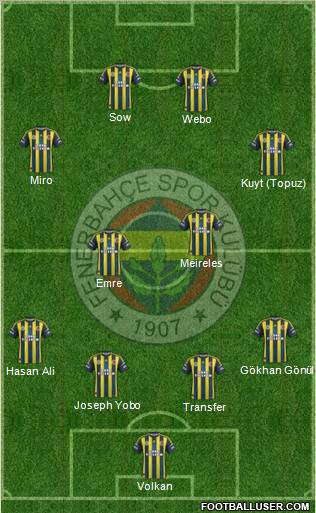 Fenerbahçe SK Formation 2013