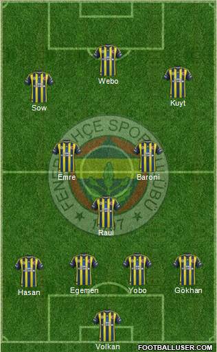 Fenerbahçe SK Formation 2013