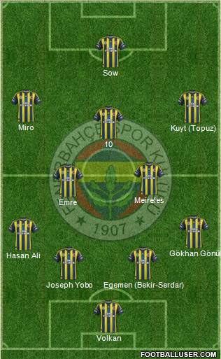 Fenerbahçe SK Formation 2013