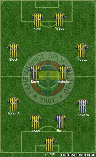 Fenerbahçe SK Formation 2013