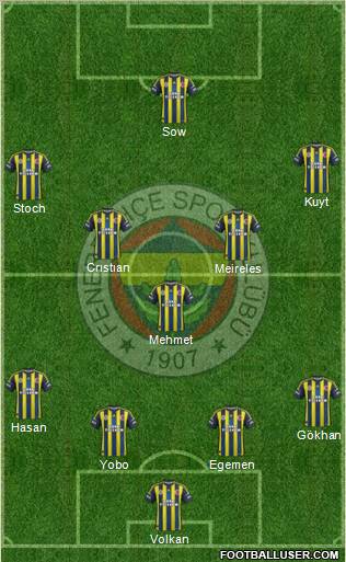 Fenerbahçe SK Formation 2013