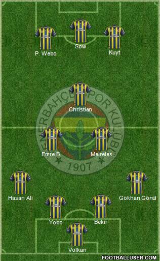 Fenerbahçe SK Formation 2013