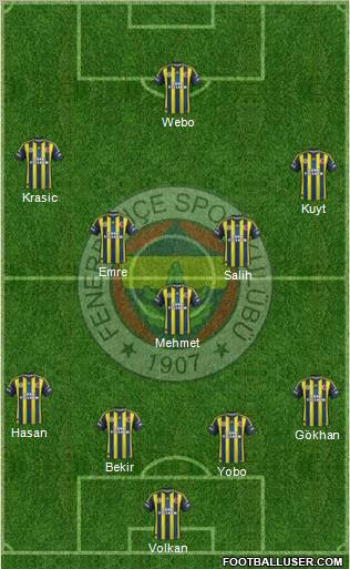 Fenerbahçe SK Formation 2013
