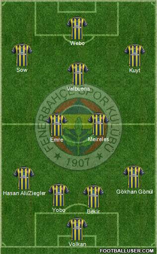 Fenerbahçe SK Formation 2013