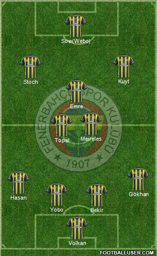Fenerbahçe SK Formation 2013