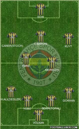 Fenerbahçe SK Formation 2013