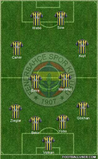 Fenerbahçe SK Formation 2013