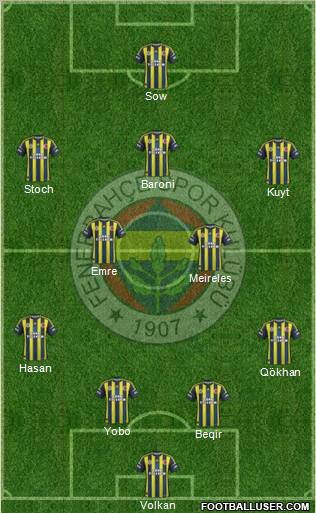 Fenerbahçe SK Formation 2013