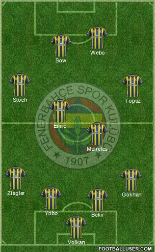 Fenerbahçe SK Formation 2013