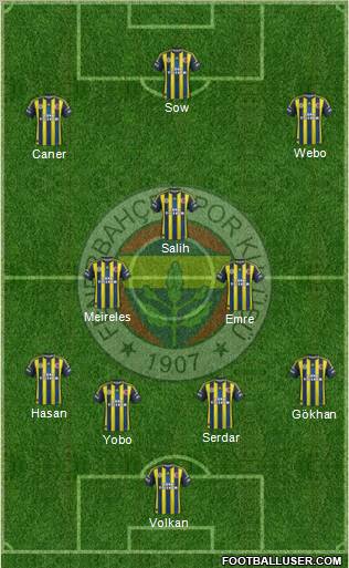 Fenerbahçe SK Formation 2013