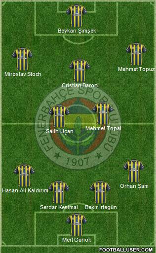 Fenerbahçe SK Formation 2013