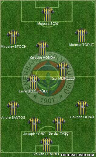 Fenerbahçe SK Formation 2013