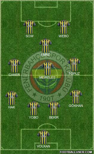 Fenerbahçe SK Formation 2013