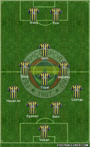 Fenerbahçe SK Formation 2013