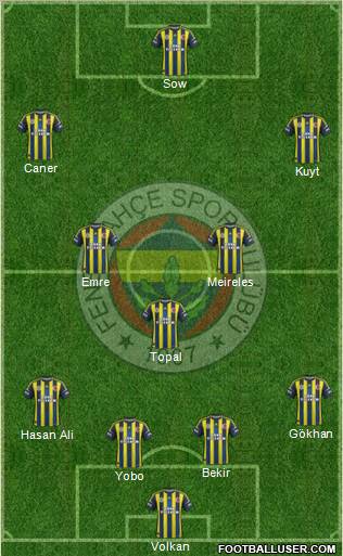 Fenerbahçe SK Formation 2013