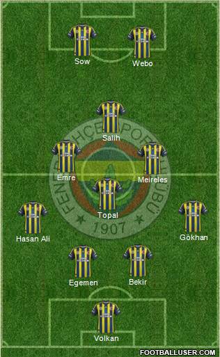 Fenerbahçe SK Formation 2013