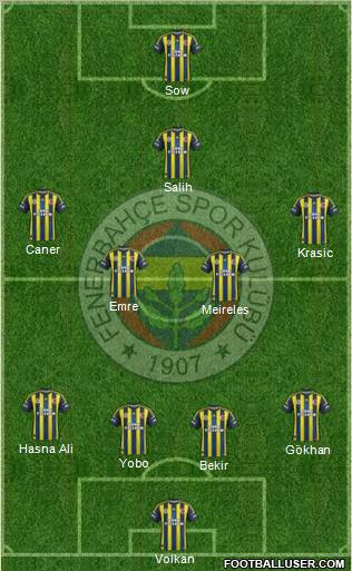 Fenerbahçe SK Formation 2013