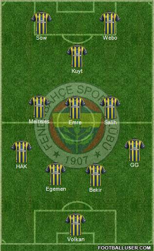 Fenerbahçe SK Formation 2013