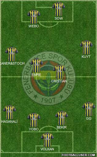Fenerbahçe SK Formation 2013