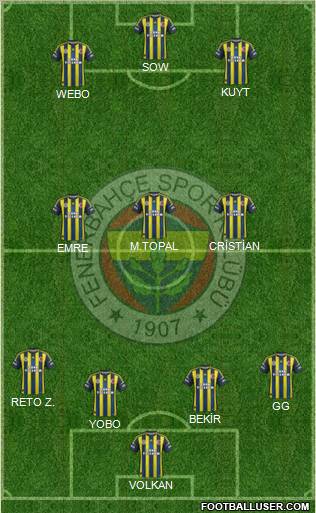 Fenerbahçe SK Formation 2013