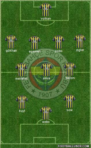 Fenerbahçe SK Formation 2013