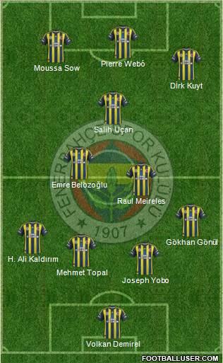 Fenerbahçe SK Formation 2013