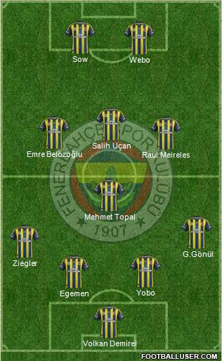 Fenerbahçe SK Formation 2013