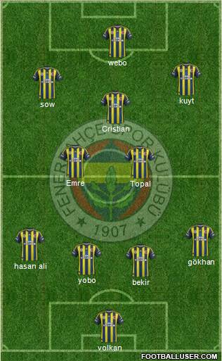 Fenerbahçe SK Formation 2013