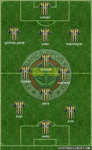 Fenerbahçe SK Formation 2013