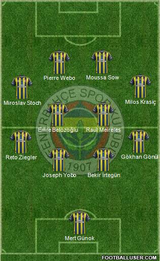 Fenerbahçe SK Formation 2013