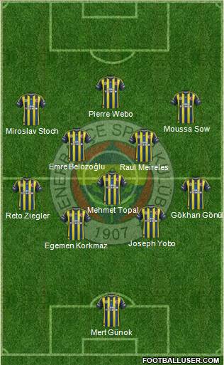 Fenerbahçe SK Formation 2013