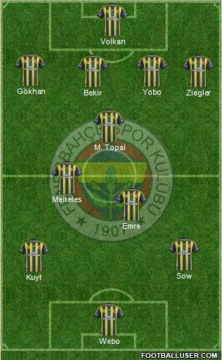 Fenerbahçe SK Formation 2013